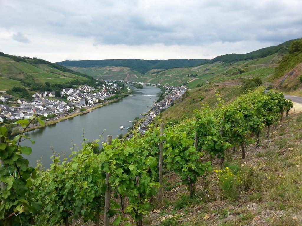 Ferienhaus An der Mosel Zell Exterior foto