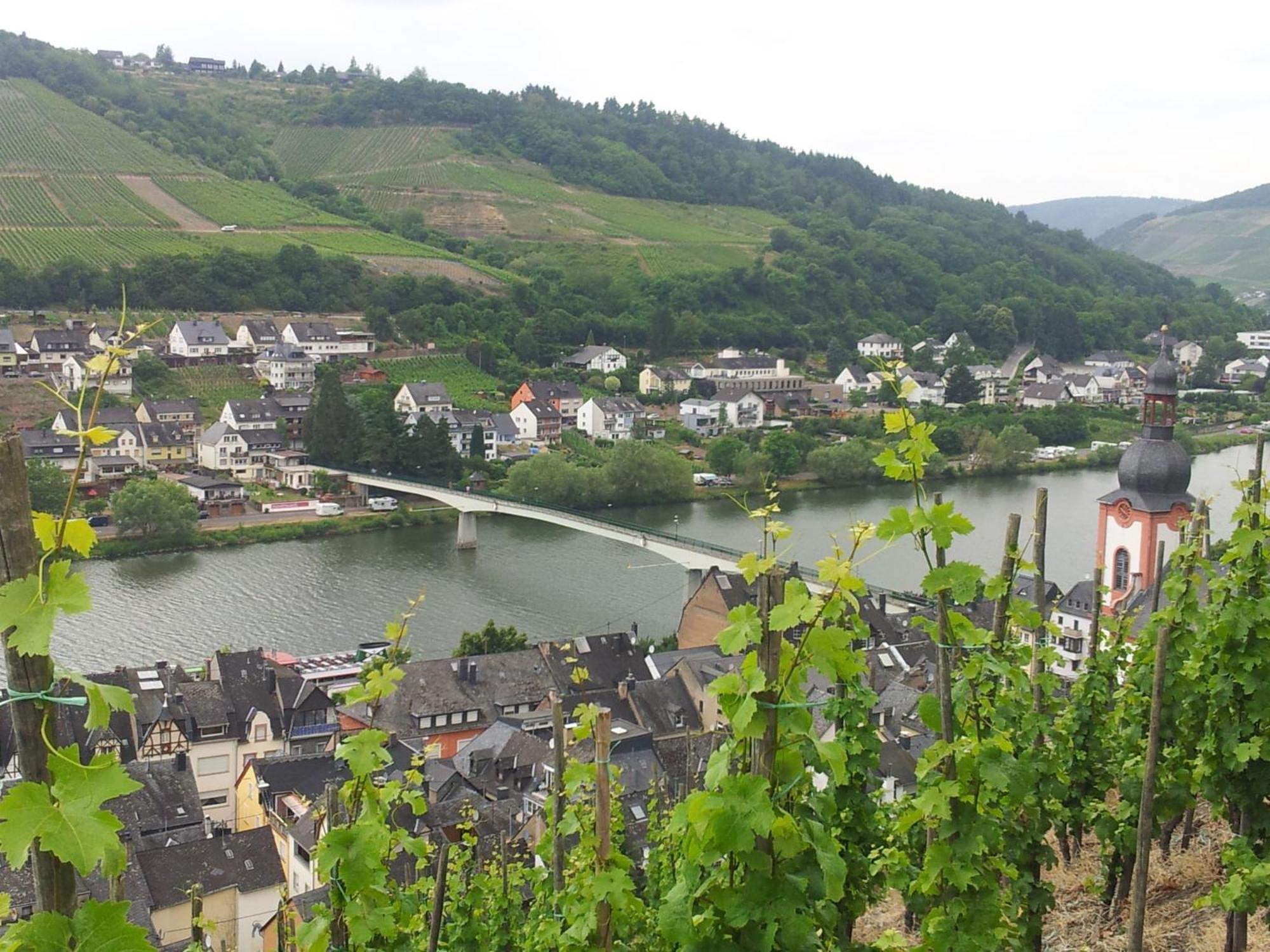Ferienhaus An der Mosel Zell Exterior foto